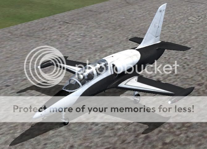 fsx2009-08-0513-05-51-67.jpg