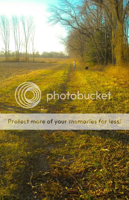 DSCN2410.jpg photography image by __xmollymonster