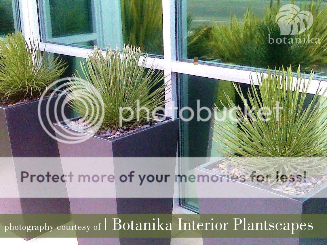 Call 619.231.0777 for more details Botanika - Rooftop Garden