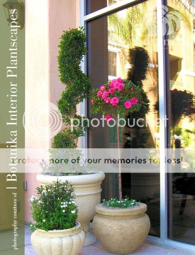 Call 619.238.6886 for more details Botanika - Rooftop Garden