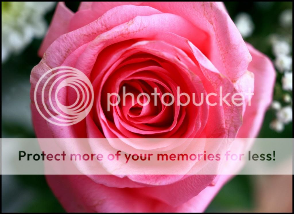 IMAGE: http://i382.photobucket.com/albums/oo268/macvisual/IMG_0041_zps8bf3e750.jpg