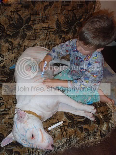 122449-original-elb0d.jpg