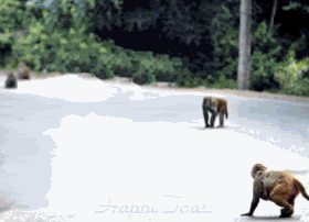 ATT00008.gif