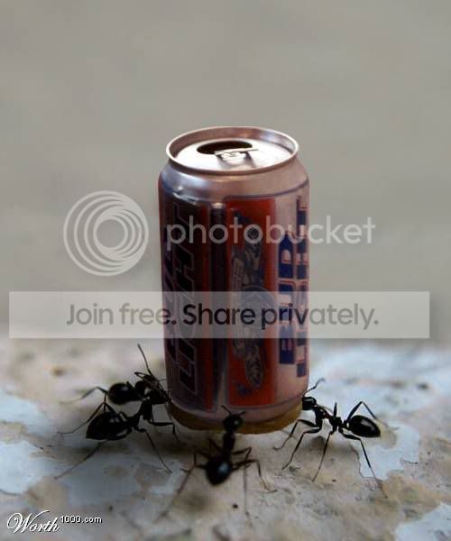 ATT5377056.jpg