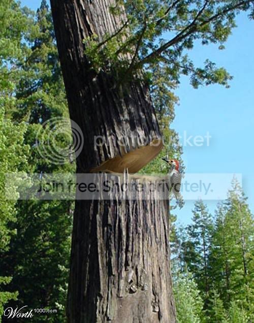 ATT5377059.jpg
