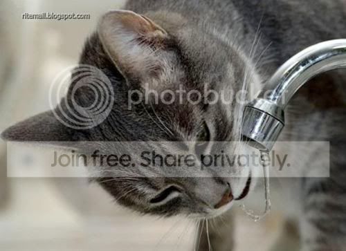Friends-Kingdom__9.jpg