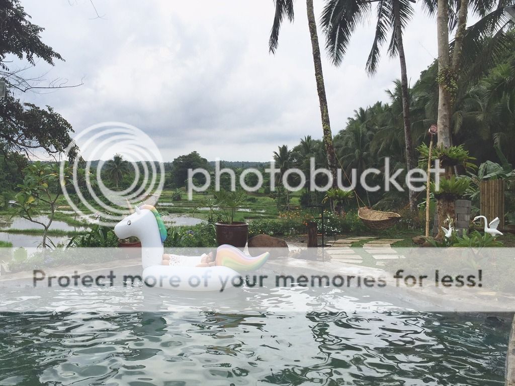  photo FullSizeRender 11_zpswk3ayecp.jpg