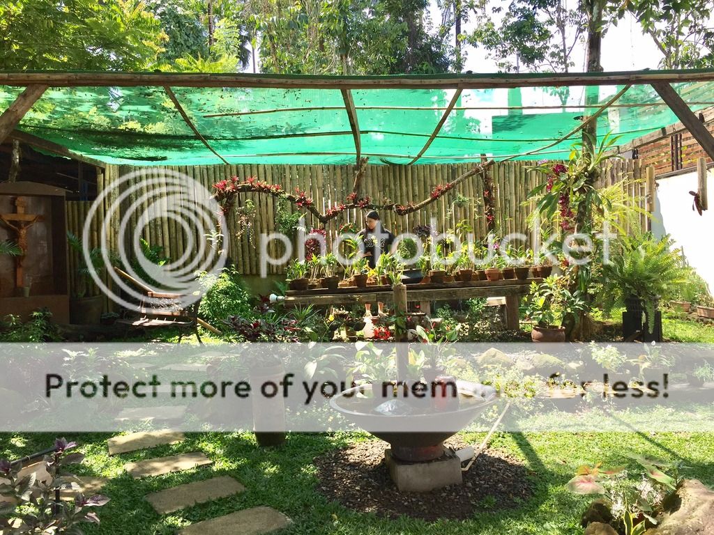  photo FullSizeRender_zpsbfi8gtsa.jpg