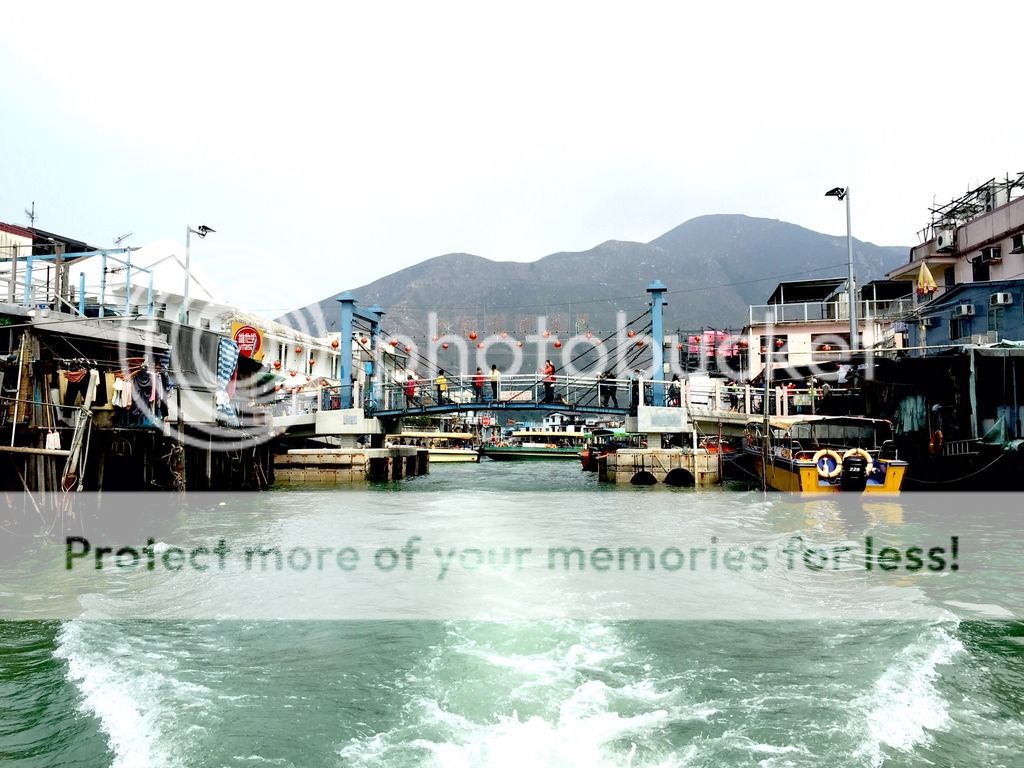  photo image1_zpsfwjbtxzs.jpg