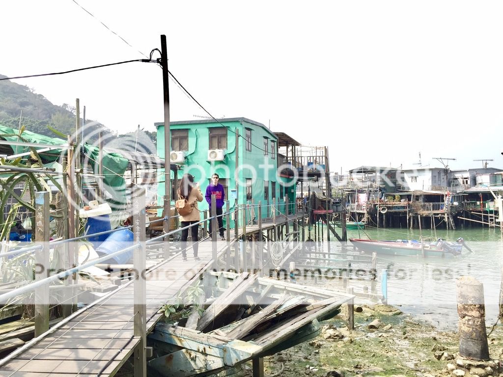  photo image5_zpsoymwm3cv.jpg